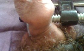 My balls getting crushed